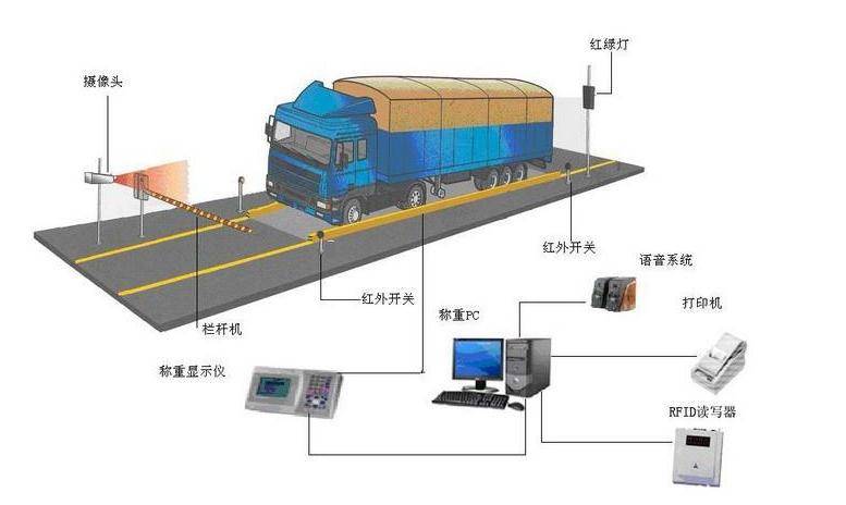 KAIYUN开云体育官方入口地磅地磅今迈