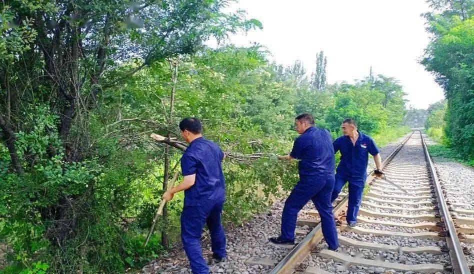 云开体育地磅地磅维护保养【科室动态】销售