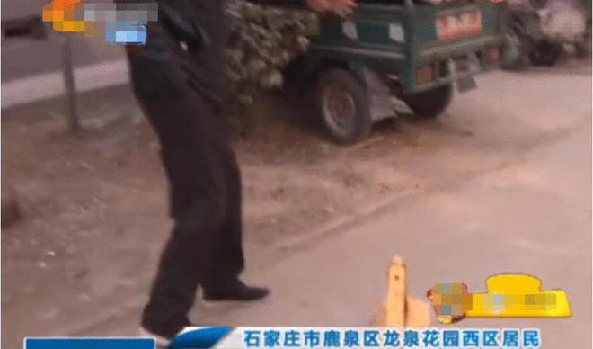 kaiyun官方下载地锁还是“地鼠”! 